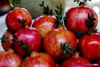 Erebunì - Cattedrale di Yerevan - Vernisage